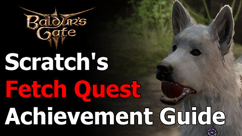 Baldur's Gate 3 Fetch Quest Achievement & Trophy Guide - Play Fetch with Scratch at Camp