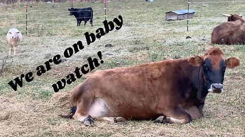 Baby Watch!