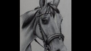 Ballpoint Pen Drawing of a Horse