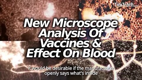 Vaccinated blood under the microscope