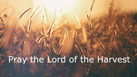 June 25, 2023 - Pray the Lord of the Harvest - Matthew 9:35 - 10:8