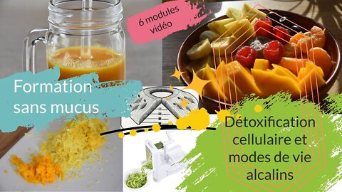 Formation sans mucus, détoxification cellulaire et modes de vie alcalins ° 6 modules vidéo