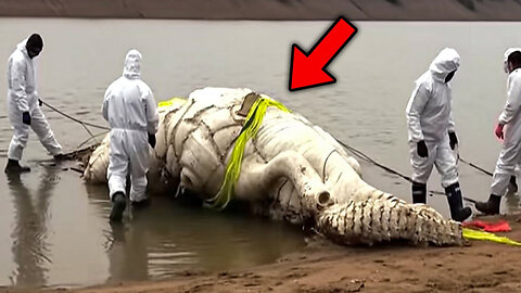 Euphrates River Has Just Been Closed Off As Something Huge FINALLY Emerged!