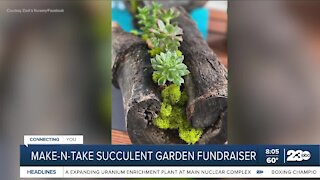 Make-N-Take Succulent Garden Fundraiser