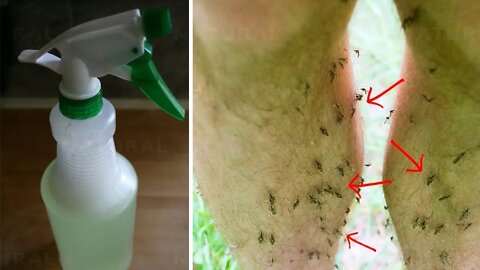 How to Make a Homemade Insecticide That Works! (100% Natural)