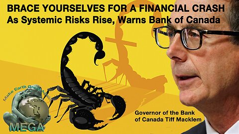 [With Subtitles] BRACE YOURSELVES FOR A FINANCIAL CRASH As Systemic Risks Rise, Warns Bank of Canada