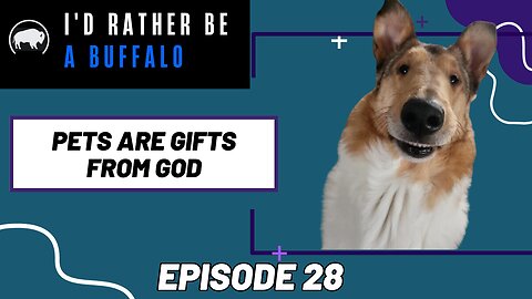 Pets Are Gifts From God