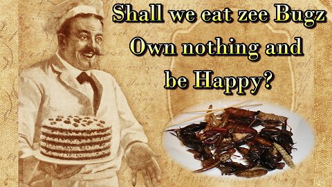 Shall we eat zee Bugz, own nothing and be Happy? - Short summary and Tarot reading.