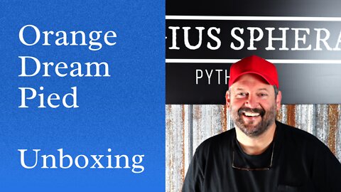 Ball Python unboxing Orange Dream Pied from Adam Chesla