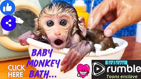 Human MOM Gives Baby Monkey A Comforting Bath; Watch... #viral @ Entertainment.