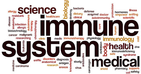 Is Your Immune System Strong?
