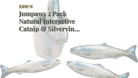 Jumpaws 2 Pack Natural Interactive Catnip & Silvervine Cat Kicker with Feathers, Bite Resistant...
