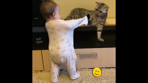 Baby and cat pulling each other