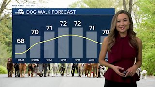 Cooler and breezy Saturday