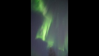 Northern Lights (Aurora Borealis Viewing) Chasing Tour in Fairbanks, Alaska in Feb. 2024