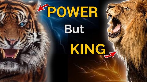 Lion vs. Tiger: Amazing Facts About These Majestic Big Cats | kashifactwala