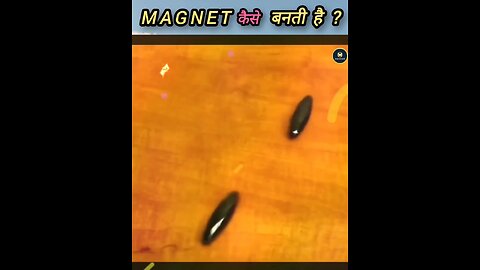 Magnet