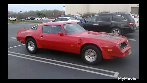 1977 Pontiac Trans Am by. Jack the Irish wolfhound