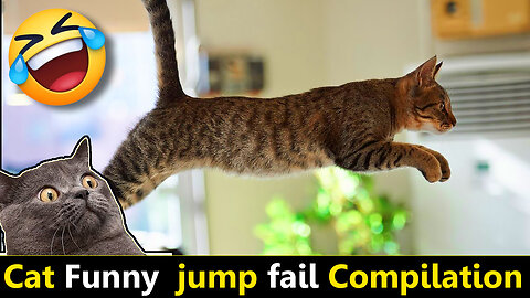 Cat funny Fails Jump Videos Compilation || Try not to laugh challege
