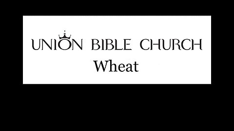 July-30-2023 Wheat PART 1