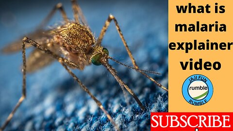 Malaria Explained | Malaria Life Cycle | Malaria information in | Malaria parasite