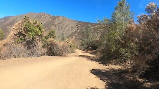 Mount Diablo State Park- Mitchell Canyon