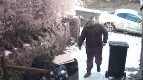 Thief Stealing From Yard Greeted By Bull Mastiff And German Sheppard