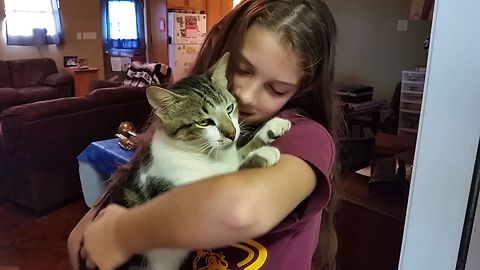 This Cute Cat Refusing To Go Outside Will Melt Your Heart