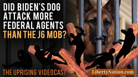 Did Biden's Dog Attack More Federal Agents Than The J6 Mob? – Uprising