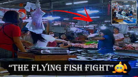 Flying Fish in the Market went Viral! | Bangus Festival, Fight Edition | FISH FIGHT
