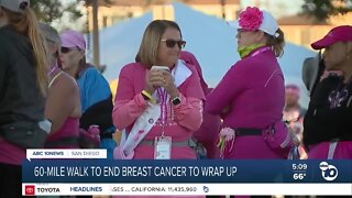 Susan G. Komen walk collects $5.3M over 3 days to beat breast cancer