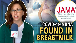 New science shows trace amounts of COVID-19 mRNA found in breast milk
