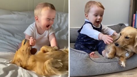 Baby and puppy instantly share super precious friendship
