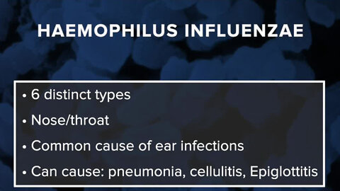 What is Haemophilus influenzae? Here are the symptoms to watch for