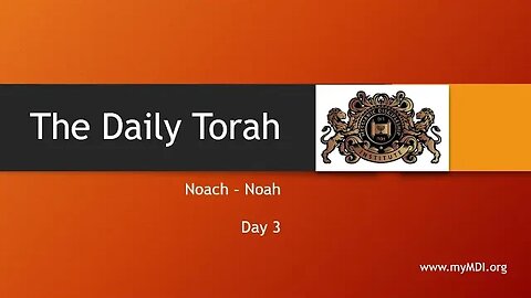 Noach / Noah - Day 3