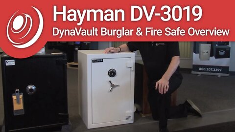 Hayman DV-3019 DynaVault Burglar & Fire Safe Overview with Dye the Safe Guy