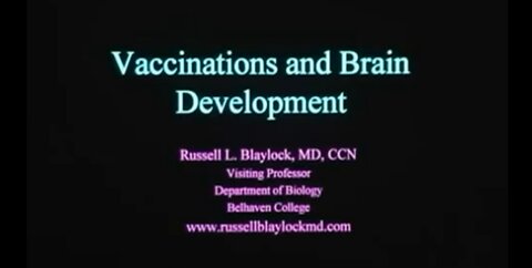 Vaccines And Brain Development - Dr Russell Blaylock, MD (2008)