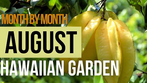 Itʻs August! What Are You Doing In The Hawaiian Garden?