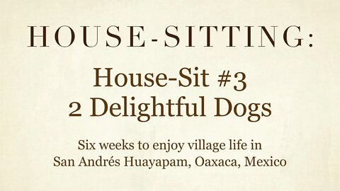 House-Sitting » House-Sit #3 » 2 Delightful Dogs » San Andrés Huayapam, Oaxaca, Mexico