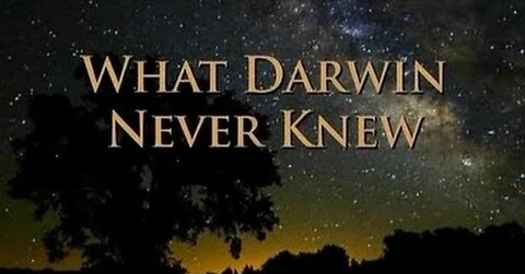 What Darwin Never Knew NOVA HD