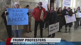 Dozens protest Trump presidency