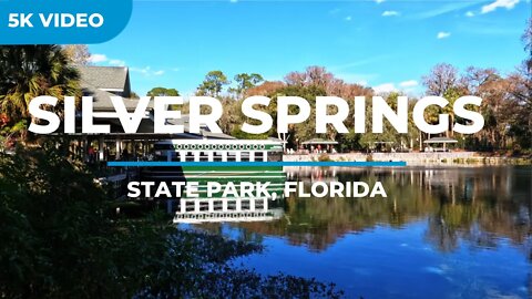 Manatees in Silver Springs State Park – Glass Bottom Boat Tour – Gopro 10 Cinematic 5K