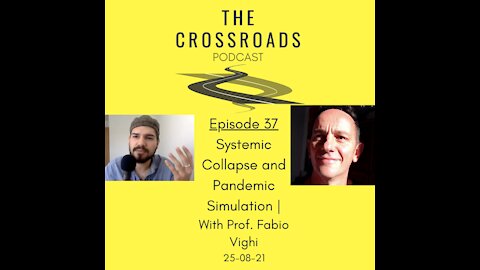37 - Systemic Collapse and Pandemic Simulation | With Professor Fabio Vighi