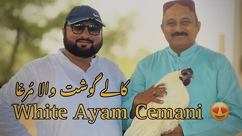 Ayam Cemani White Party | Black Meat | Black Beauty on your plate | Gojra