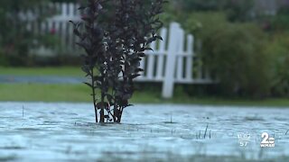 Tidal flooding in Bowleys Quarters