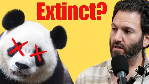 The Reason Pandas Are No Longer Extinct - Dr. Reese Reacts