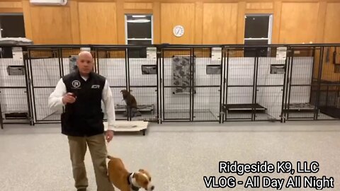 Aggressive Dog Rehabilitation - Slow Road. Ridgeside K9, LLC.