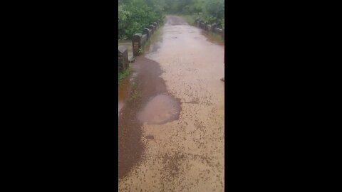 Muita chuva em PedroII-Piaui-Brazil