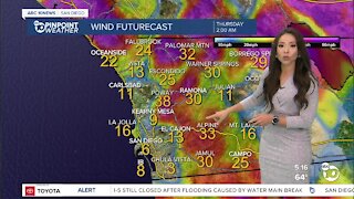 ABC 10News PinPoint Weather With Meteorologist Angelica Campos