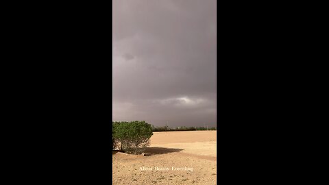 Sand Storm Saudi Arabia 🇸🇦 Al Majmaah